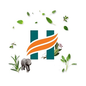 Himalaya Wellness Pure Herbs Hadjod Bone & Joint Wellness - 60 Tablet & Himalaya Wellness Pure Herbs Lasuna Cardiac Wellness Tablets - 60 Tablets