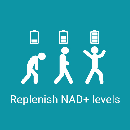 Life Extension NMN with Resveratrol Elite, NAD Precursor, 90 Veg Caps