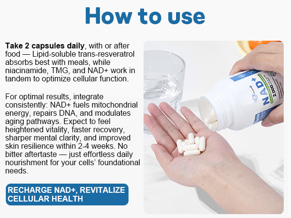 BEWORD Liposomal NAD 2000 Mg, 180 Capsules