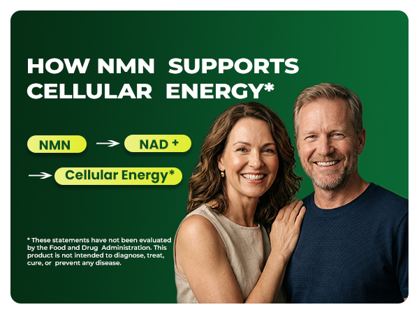 Heth Liposomal NMN Supplement 1000mg, 4-in-1 NAD+ Precursor Supplement