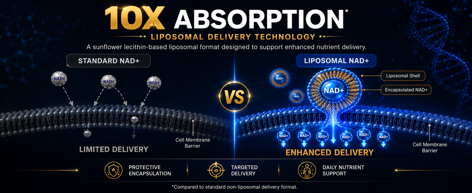 NAD Supplement, Liposomal NAD Supplement with Resveratrol