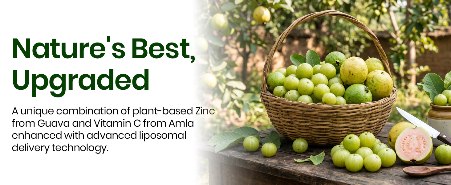 Vlado's Himalayan organic Liposomal Zinc With Vitamin C Supplement | Digestive Health | Improve Iron Absorption | Double Antioxidant & Immune Support - 10 Veg Capsules