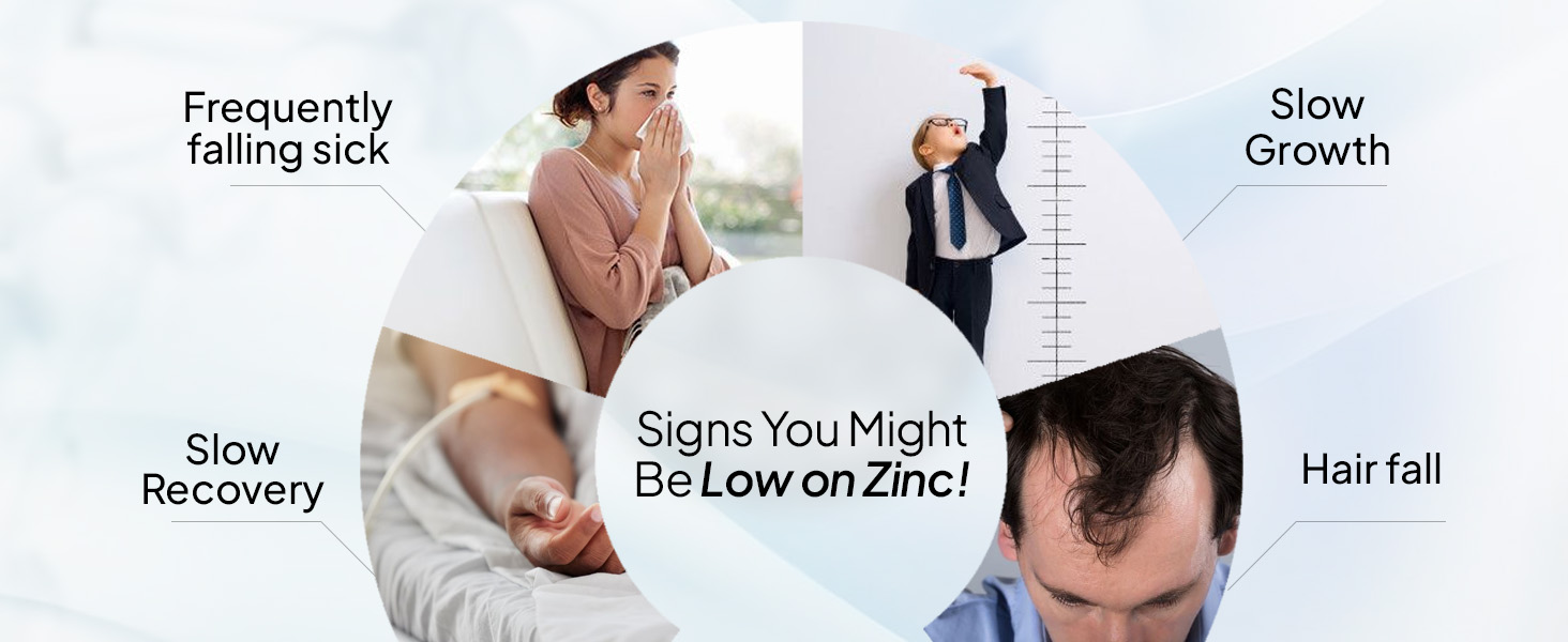 Miduty Zinc Picolinate 50 mg - High-Absorption Chelated Zinc Supplement - Immune Support, Skin & Hair Health - Supports overall wellness, Muscle Strength & Metabolism- For Men & Women - 60 Capsules