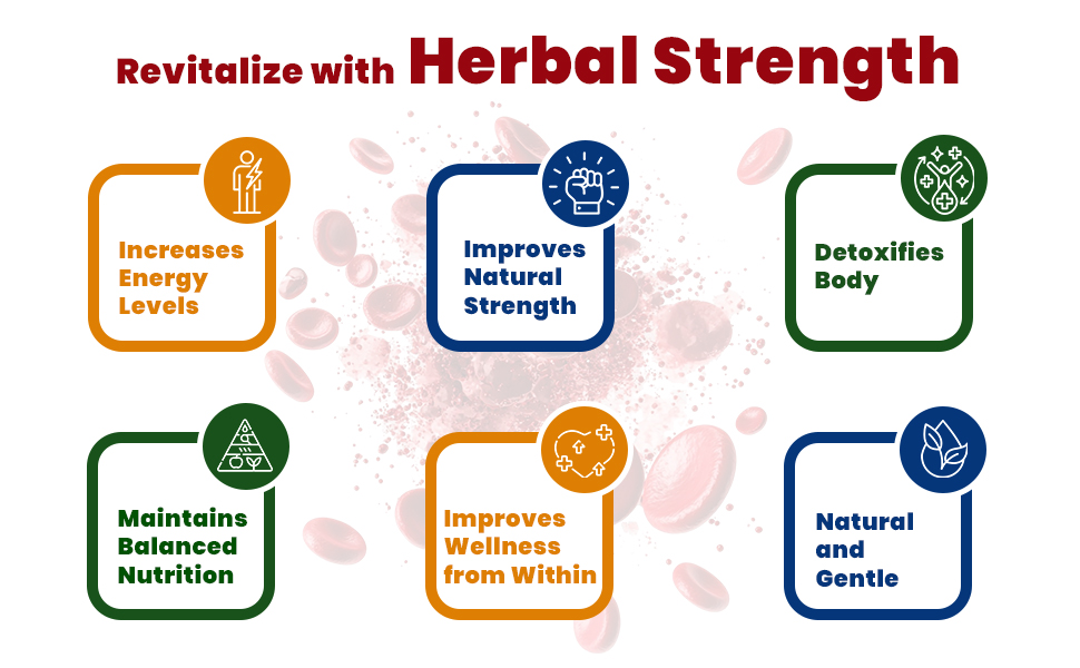 Jeena Sikho Hemotone-I Plus | Ayurvedic Health Tonic | Supports Strength & Wellness | 500 ml