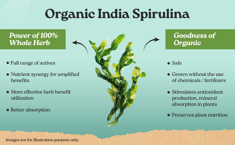 A TATA Product - Organic India Spirulina - 120 Tablets, Natural Amino Acids, Protein Powerhouse, Plant-Based Superfood, For Hair, Skin, Nails & Overall Health