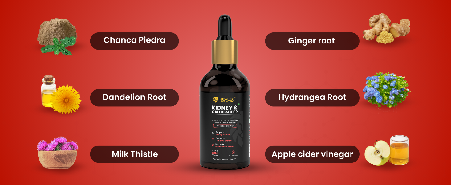 HEALEO Kidney & Gallbladder Stone Braker | Chanca Piedra, ACV, Ginger, Dandelion Root | Supports Kidney & Gallbladder Health | 50ml - 25 Servings