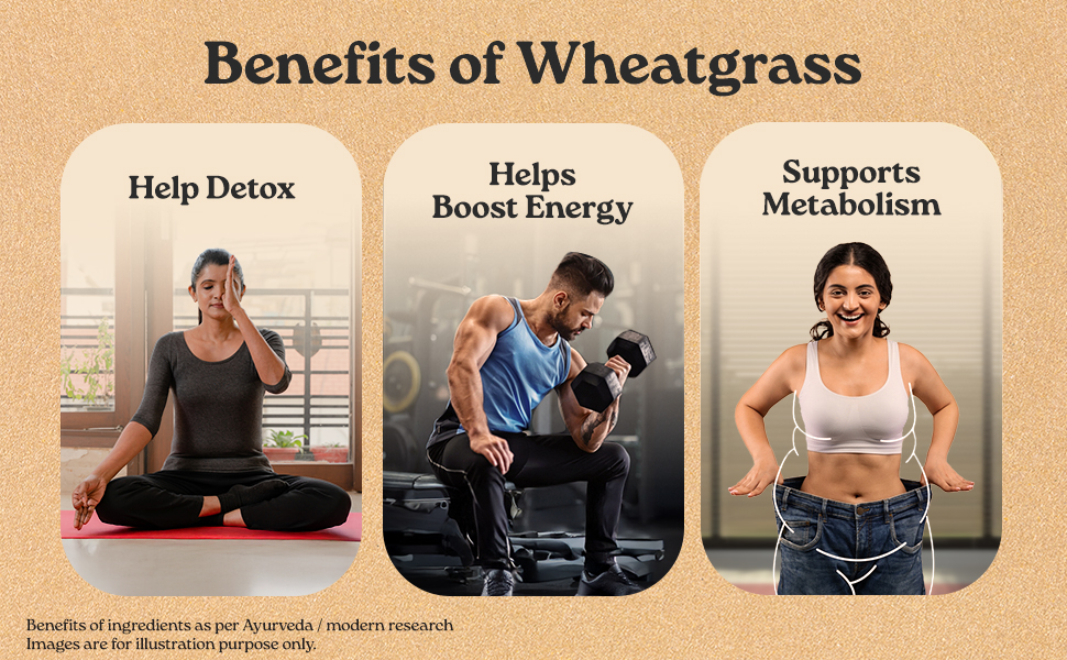 A TATA Product - Organic India Wheat Grass - 100g, Supports Immunity & Boosts Stamina, Rich in Natural Antioxidants, Vitamins & Minerals, For Detox, Overall Well-Being, GMP & NPOP Certified Organic