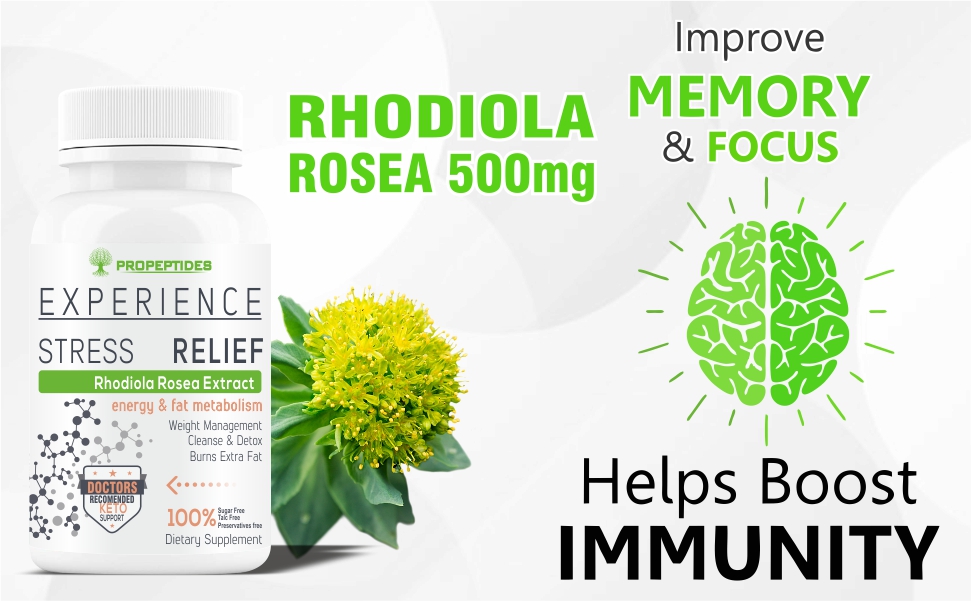 Rhodiola Rosea 500mg Adaptogen Supplement with Bioperine, Standardized 5% Salidroside | Vegetarian Tablets for Energy, Focus & Stress Support, Non-GMO, 60 Tablets