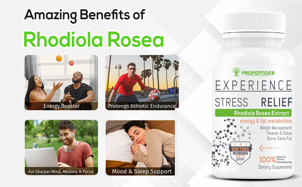 Rhodiola Rosea 500mg Adaptogen Supplement with Bioperine, Standardized 5% Salidroside | Vegetarian Tablets for Energy, Focus & Stress Support, Non-GMO, 60 Tablets