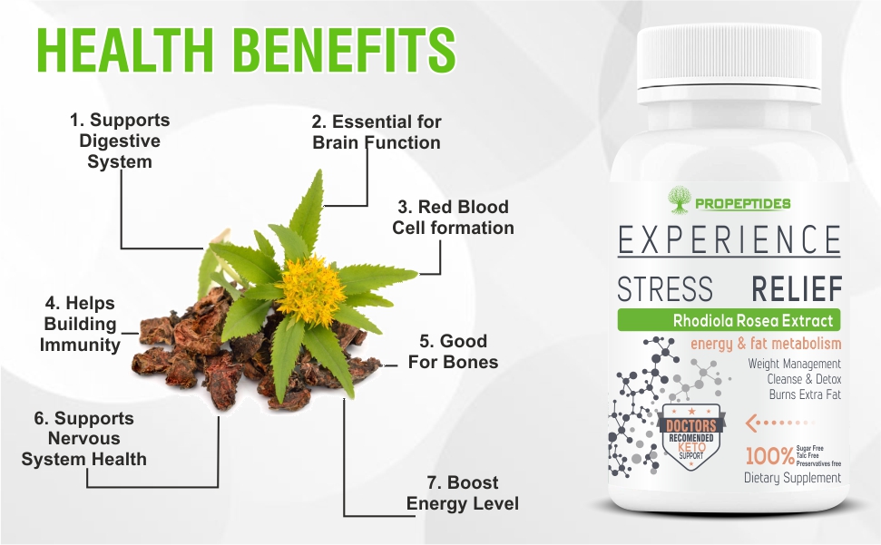 Rhodiola Rosea 500mg Adaptogen Supplement with Bioperine, Standardized 5% Salidroside | Vegetarian Tablets for Energy, Focus & Stress Support, Non-GMO, 60 Tablets