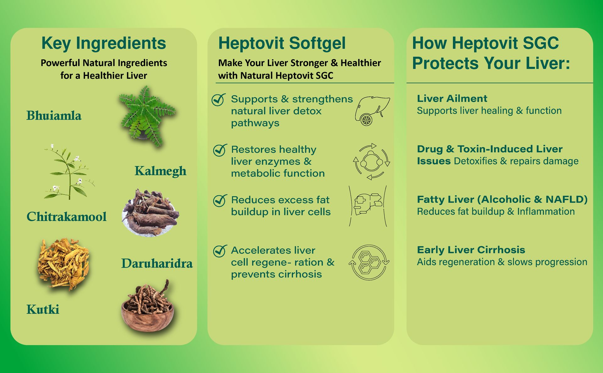 Heptovit Softgel Capsules | Supports & Strengthens Natural Liver Detox | 60 Capsules
