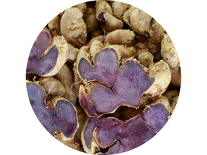 Indiana Organic Black Ginger Herbal Powder (Kaempferia parviflora) – 100% Pure Natural Botanical Ingredient | 100g | Sourced from Nagaland | No Additives | In-House Processed