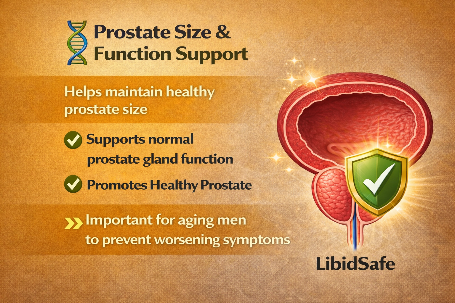 Xenoprost Active Capsule for Men โ Advanced Prostate Care Ayurvedic Supplement for Enlarged Prostate & Urinary Relief | Herbal Support for BPH, Bladder Strength & Male Energy