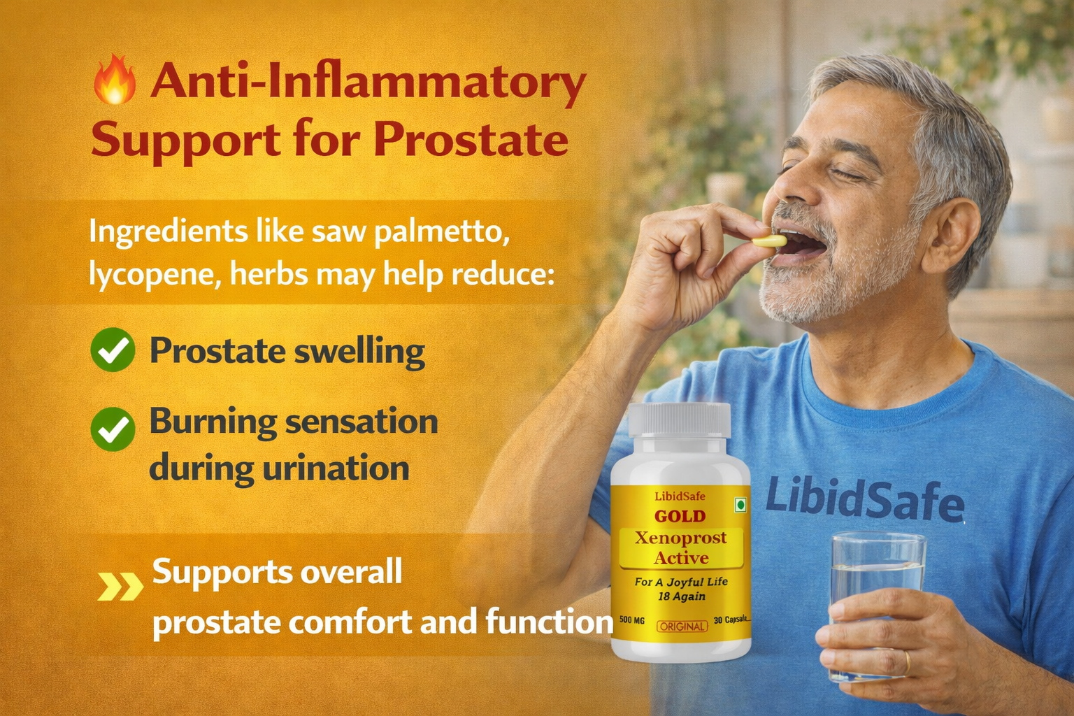 Xenoprost Active Capsule for Men โ Advanced Prostate Care Ayurvedic Supplement for Enlarged Prostate & Urinary Relief | Herbal Support for BPH, Bladder Strength & Male Energy