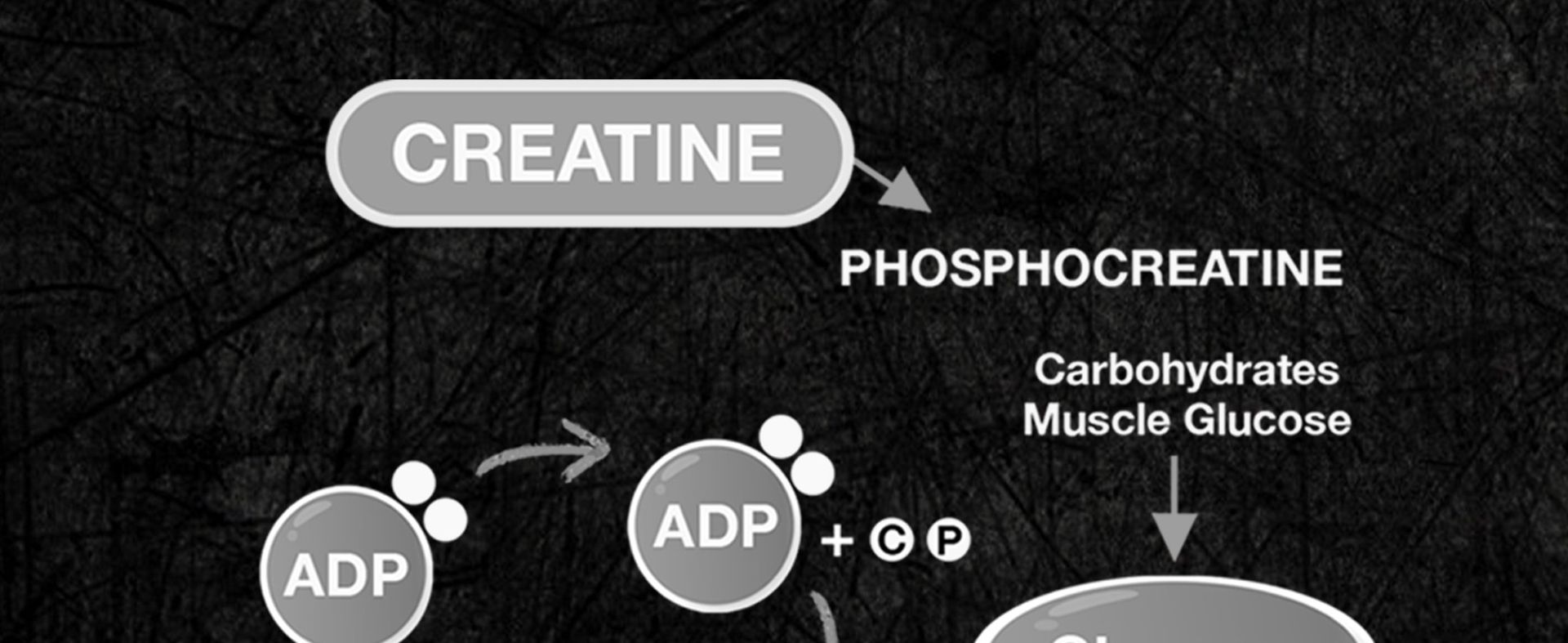 BeastLife Creatine Monohydrate | Super Micronised | 2 Flavours (125g X 2) | Rapid Absorption | Muscle Strength & Recovery | Shikanji + Tropical Tango | For Men & Women | Lab Tested | 66 Servings