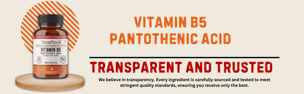 Vaastavik Vitamin B5 Supplement Pantothenic Acid 5000 Mcg 60 Capsules