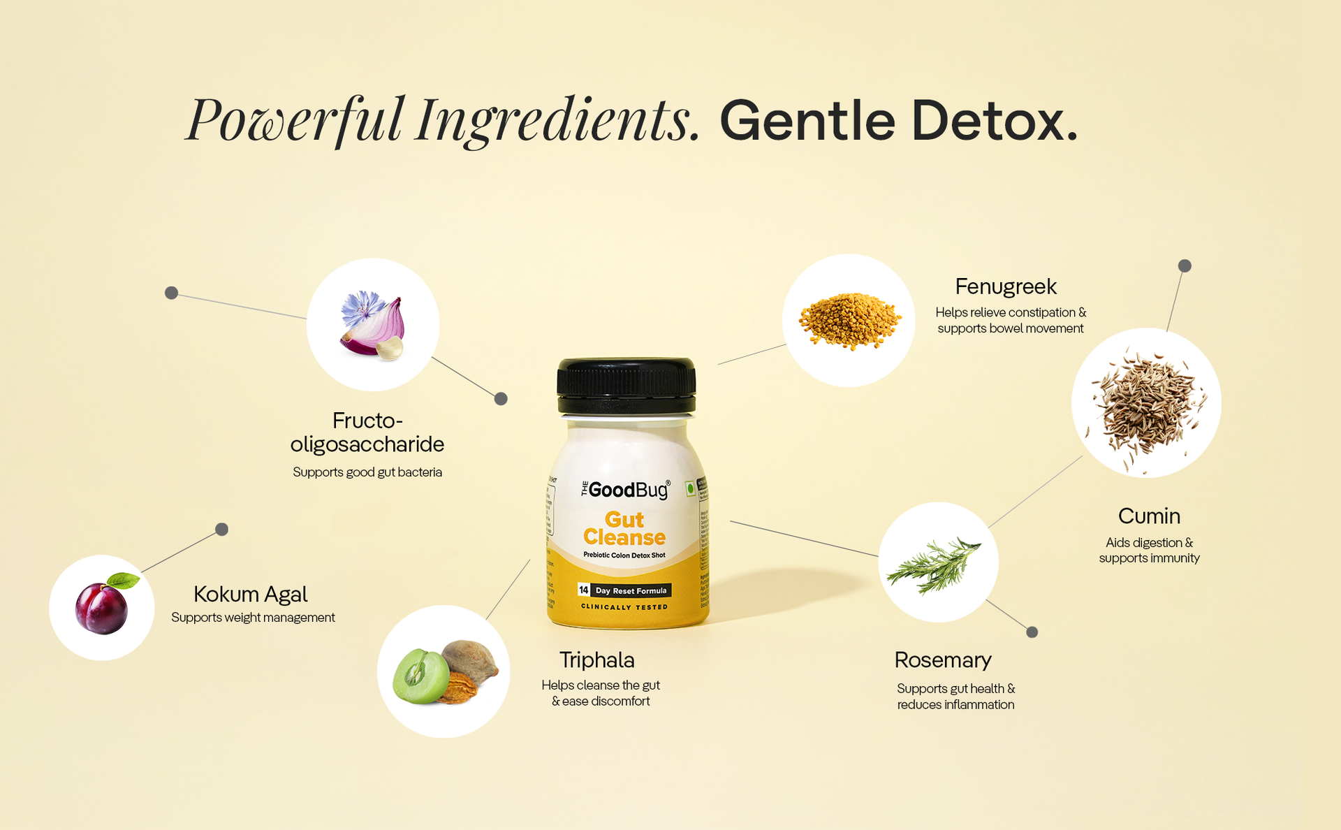 The Good Bug Gut Cleanse - 28 Prebiotic Colon Detox Shots | Improves Probiotic Activity, Gut Health & Digestion | Tackles Bloating, Gas & Constipation