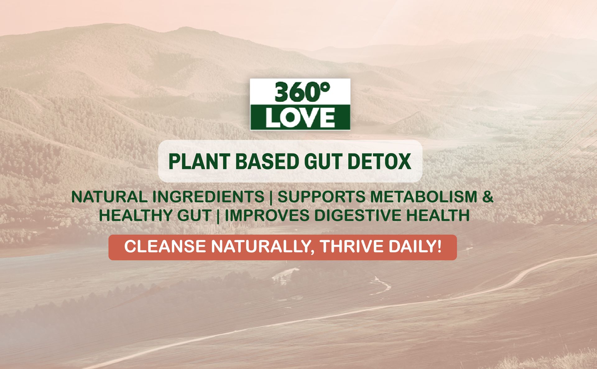 Plant Based Gut Detox with 11 Natural Ingredients | Supports Metabolism & Healthy Gut | Improves Digestive Health - 60 Veg Capsules