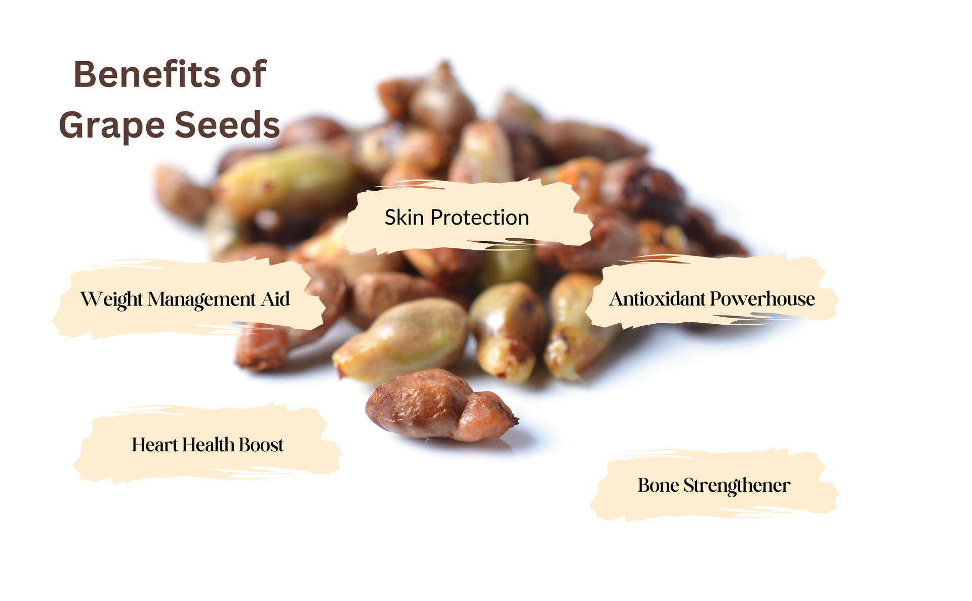Parshwa Grape Seed Angur Beej Grape Seeds - 250 Gm | Medium Pack | Good for health and skin | Grape seed organic | Natural qualities | Pack of 1