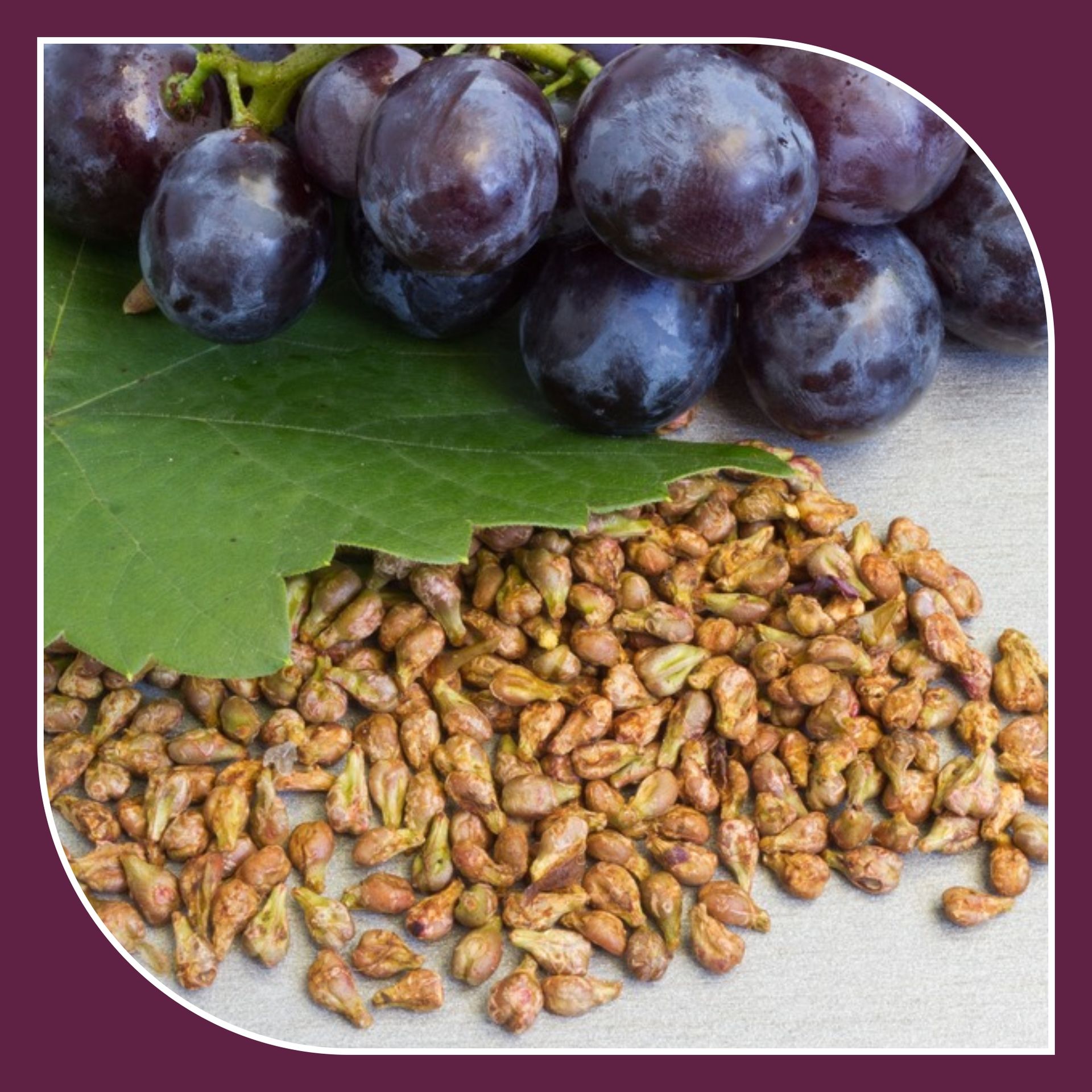 Grape seed Extract 60 Capsules- (Pack of 2)