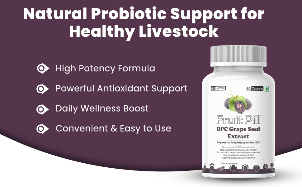 (LeeWell) OPC Grape Seed Extract 500mg with 95% Oligomeric Proanthocyanidins Supplement, Support Lower Blood Pressure & Blood Flow circulation -60 Capsules