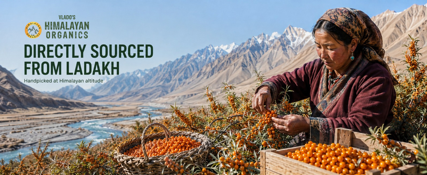 Vlado's Himalayan Organics Sea Buckthorn - 1200mg - Rich source of Omega 3-6-7-9 I 190+ Bio-active Elements ( vitamin A,B,C,D,E, ) Vitmain K - 18+ amino acids+ I Antioxidants, Immunity & Collagen Boosting, Supports Skin, Gut, Heart, Muscle, Bone - Direct source from ladakh- 60 Veg Extract Tablets