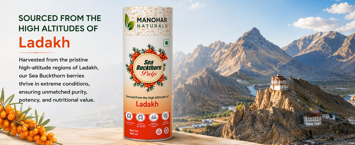 Sea Buckthorn Pulp 300ml | Sourced from High Altitudes of Ladakh | Rich in Omega 3, 6, 7 & 9 Helps to Immunity, Energy, Skin and Hair Health (300 ml)