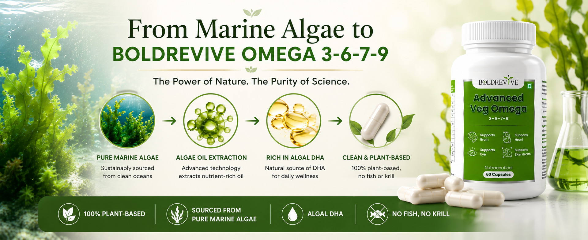 Vegan Omega 3 6 9 Capsules with Algal DHA EPA, Evening Primrose, Sea Buckthorn & Vitamin D3 – 60 Veg Capsules for Men & Women