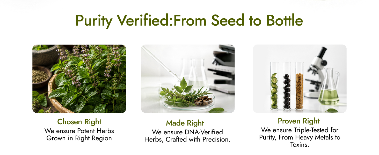 Kapiva Dia Free Juice, 4L | Scientifically designed formulation to support sugar levels | Karela, Vijaysar and 9 Herbs