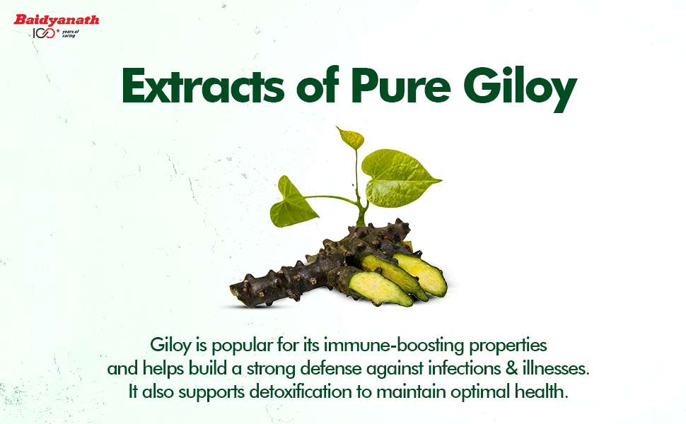 Baidyanath Giloy Ghan Bati 60 Tablets | Boosts Immunity & Digestion | Ayurvedic Guduchi Tablets for Fever, Detox, Acidity & Skin | Herbal Supplement for Health & Wellness | (Pack of 2)