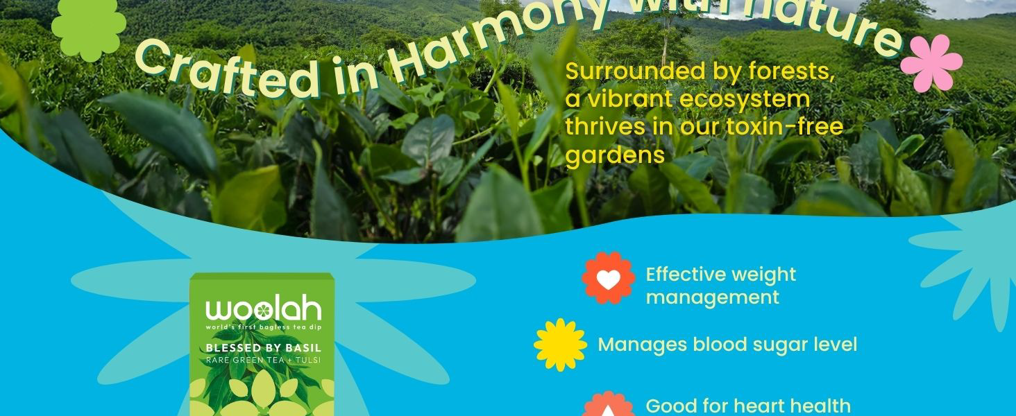Woolah Rare Assam Green Tea With Tulsi | Bagless Whole Leaf Green Tea Dips | Naturally Grown | Rich in Antioxidants | Clean & Refreshing | Plastic-Free Brewing (15 Dips / 30 Cups)