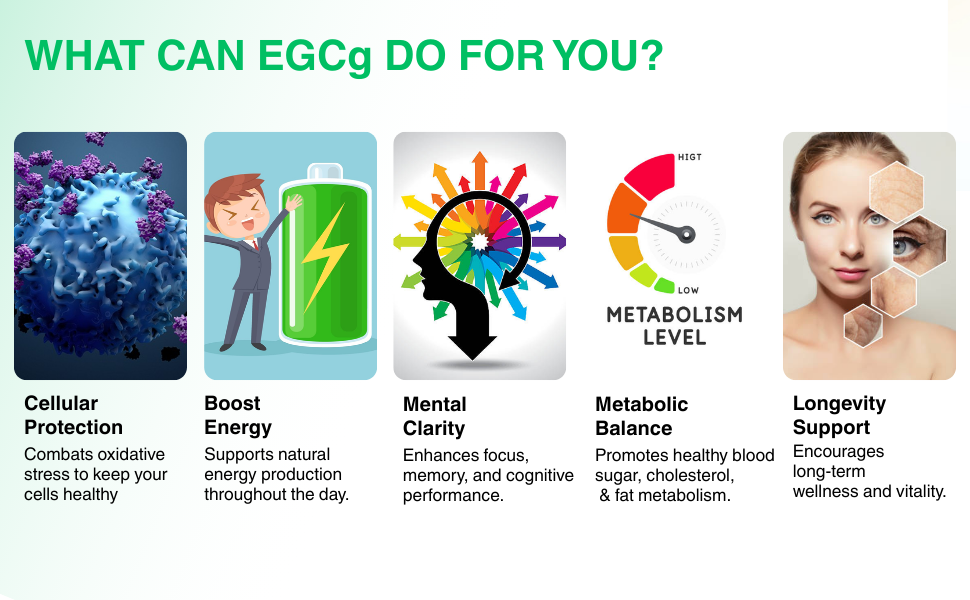 EGCG Green Tea Extract - Premium Antioxidant & Metabolism Support | 30 Capsules