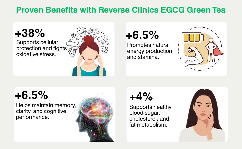 EGCG Green Tea Extract - Premium Antioxidant & Metabolism Support | 30 Capsules
