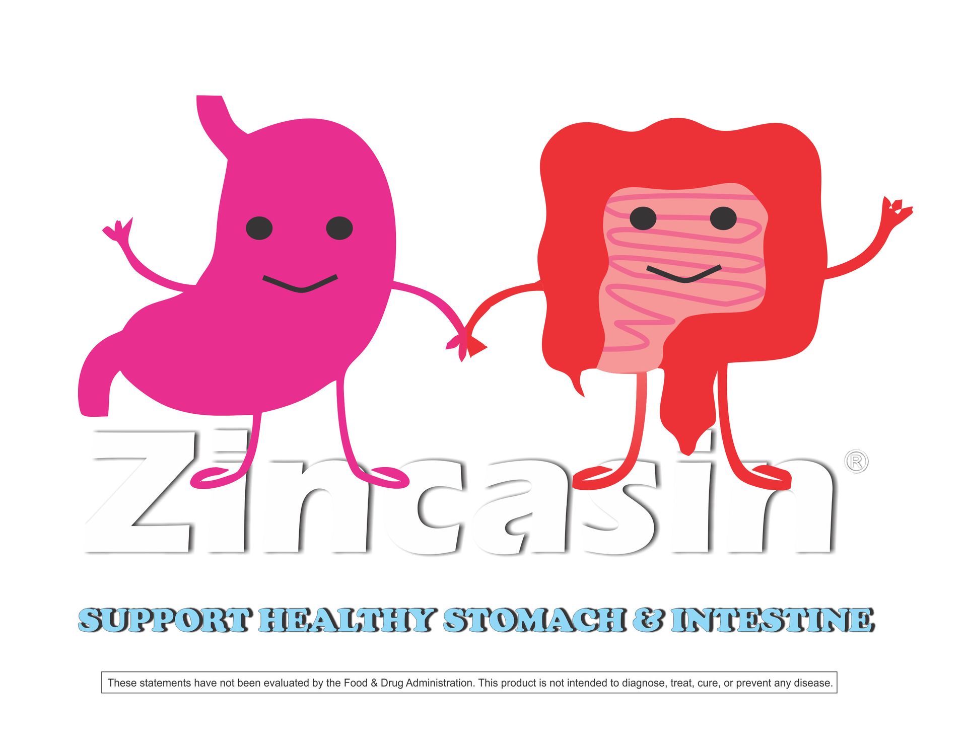Zincasin (LeeWell) Zinc Carnosine Tablets, 90 Tablets