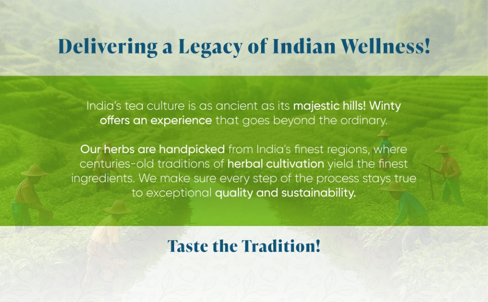 Winty Ginger Lemongrass Green Tea 30 Tea Bags | Wellness Brew | Rich in Antioxidants | Aromatic Blend | Herbal Tea for Natural Detox