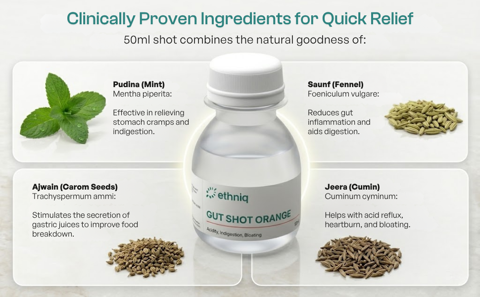 Ethniq Gut Shots | Clinically Proven Herbal Digestive Shots |Instant Relief from Acidity, Bloating, Gas, Constipation|Pudina, Ajwain, Saunf & Jeera | 4 Flavours | Travel-Friendly Pack of 12 | Ease on the go | 50ml Each