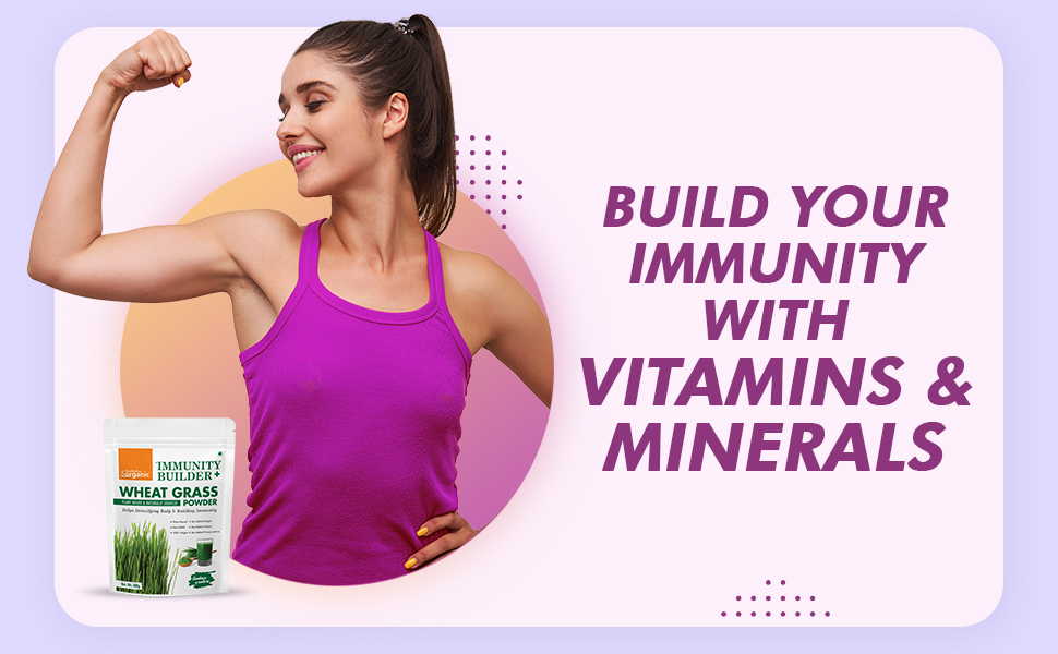 HealthyHey Organic Wheat Grass Powder | Builds Immunity & Detoxify Body | 400 gram