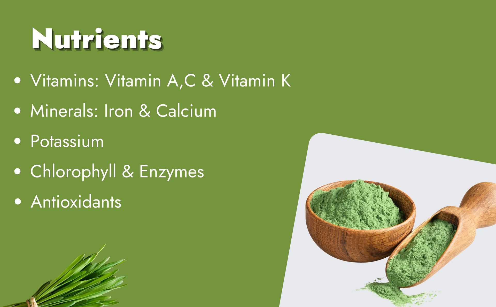 Certified Organic Barley Grass Powder, 200gm | Energy Boost | Skin Health | Weight Management | Barley Grass Green Juice Powder | Super Green Powder(100gm,each pack of 2)