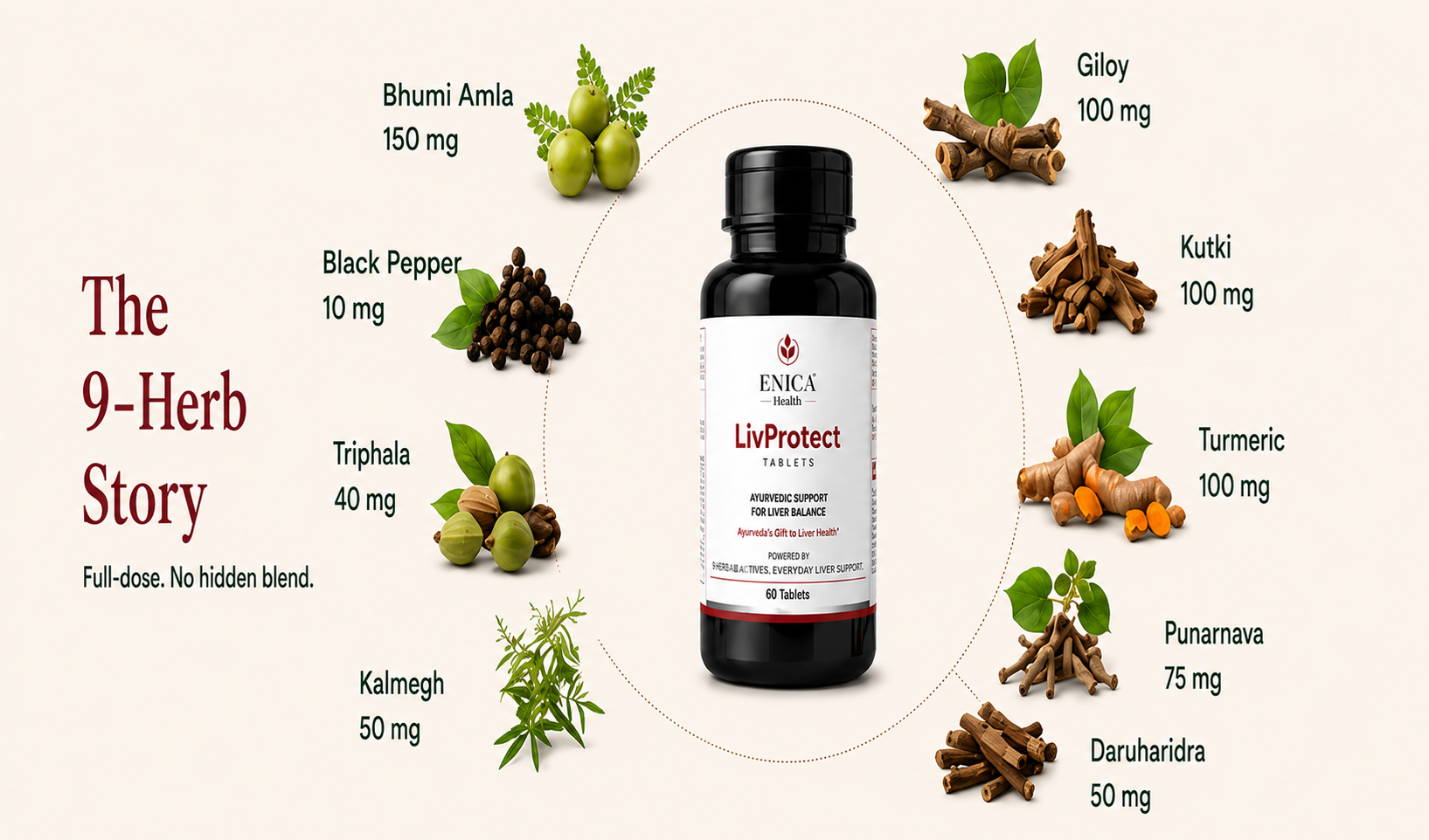 ENICA LivProtect Ayurvedic 60 Tablets, 9-Herbs Formula with Bhumi Amla