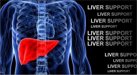 Herbal Hills LIV First Liver Support 60 Tablets (Pack of 1)