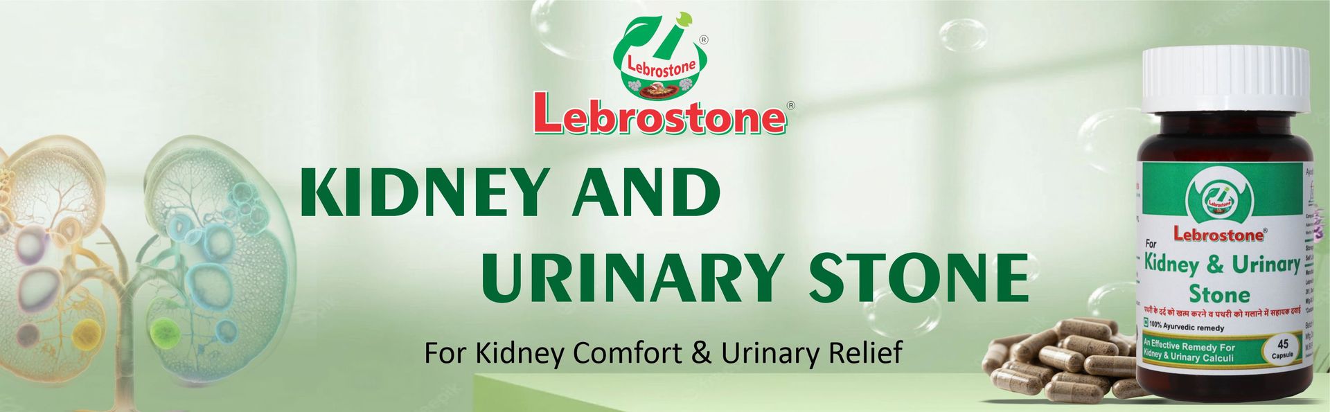 Ayurvedic Capsules | Herbal Support for Kidney & Urinary Tract Health | Natural Wellness Formula | 45 Capsules