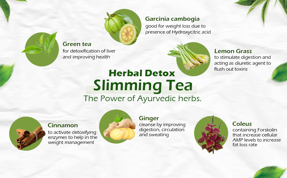 Green Spore Herbal Detox Slimming Tea – 100g (50 Cups) – Natural Weight Management & Metabolism Booster – Detoxifying Skin & Digestion Support – Infused with Garcinia Cambogia, Lemongrass & Ginger