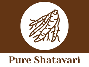 CARMEL ORGANICS Shatavari Root Powder 340 Grams