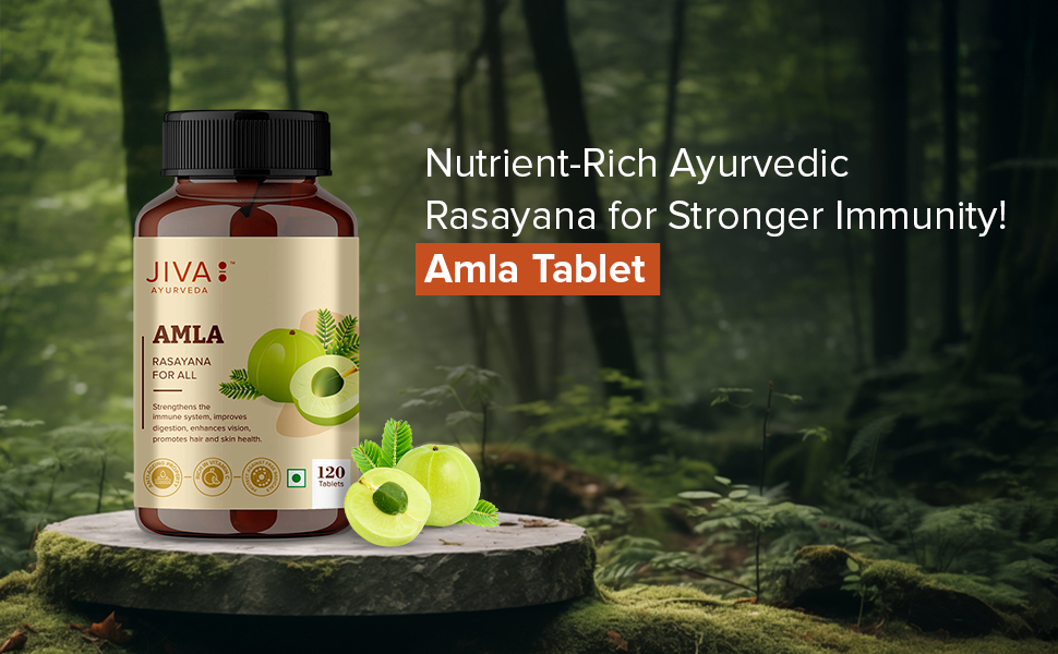 Jiva Amla Tablets 100% Pure Herbs Used, Rich In Vitamin C | Protects Against Free Radicals | Rich In Antioxidants - 120 Tablet (Pack of 1)