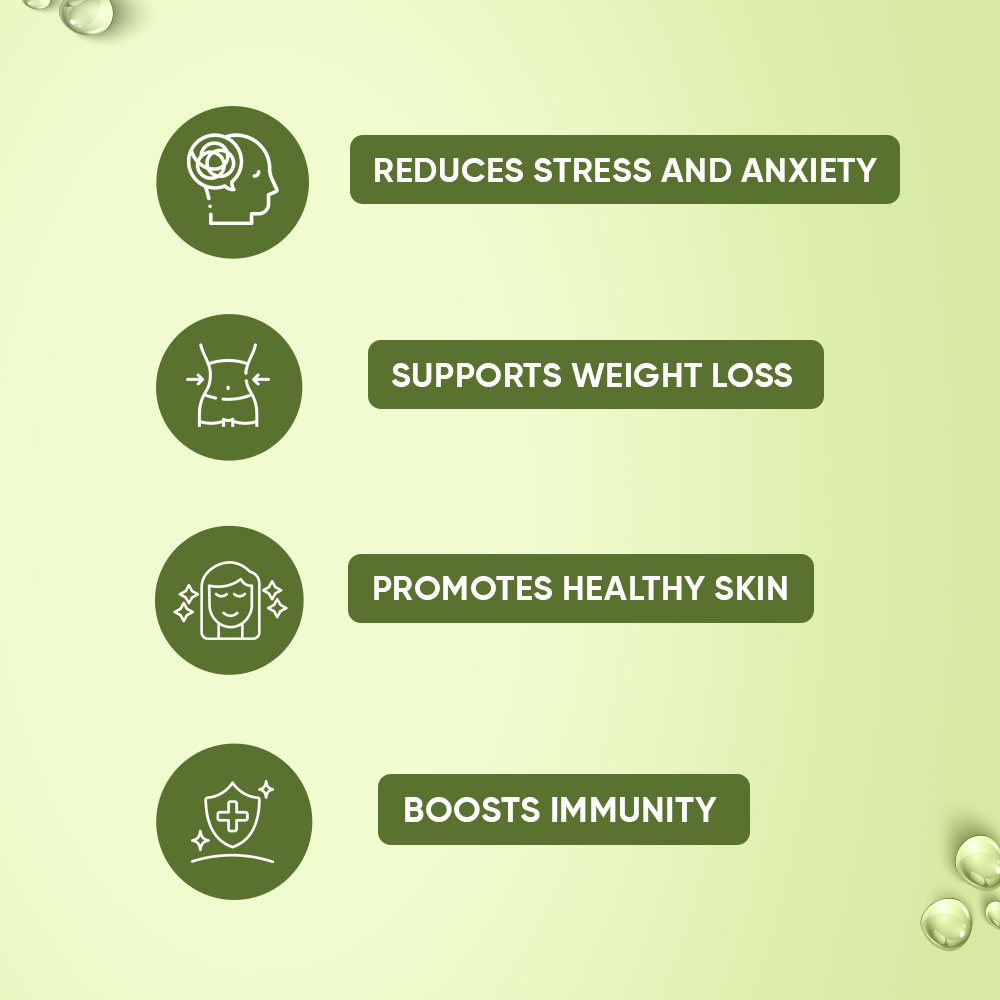 Lewisia Inorganics Green Tea Leaves 80g Pack I All Flavour I Zero Calories I Improves Metabolism & Reduces Waist I