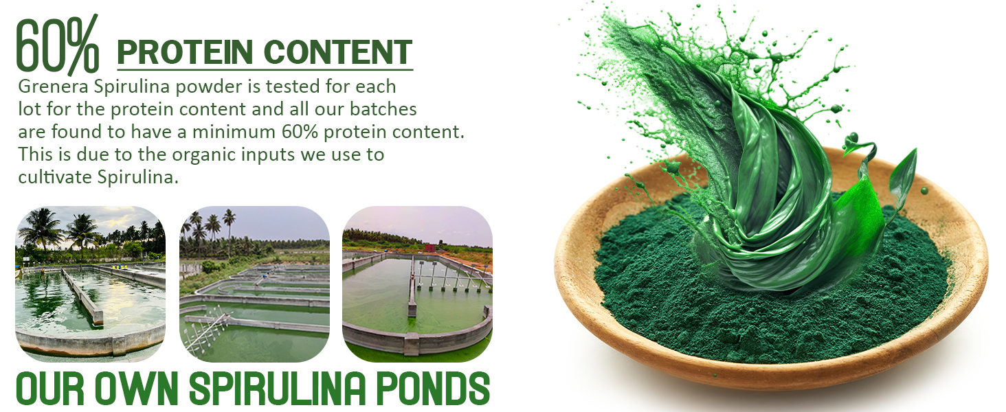 Grenera Spirulina Powder | Protein Algae Superfood Supplement | Natural With No Artificial Additives | 1 kg