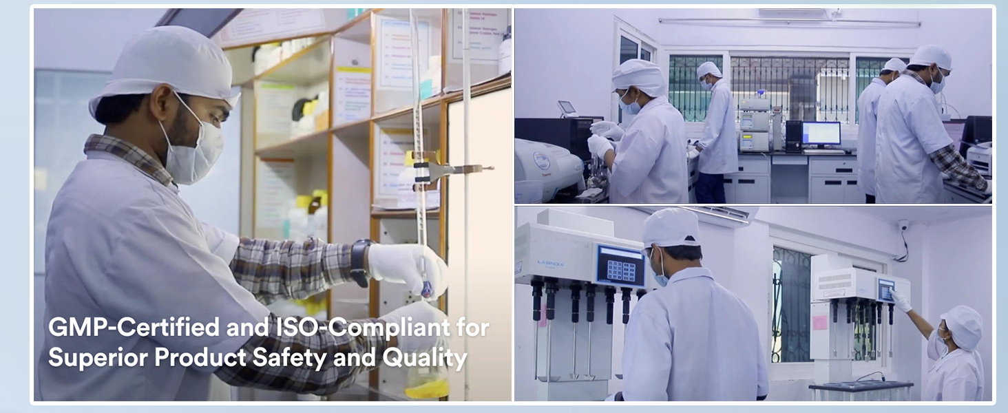 INLIFE Brahmi Extract 500mg Capsules, Bacopa Monnieri 20%, 60 Veg Caps