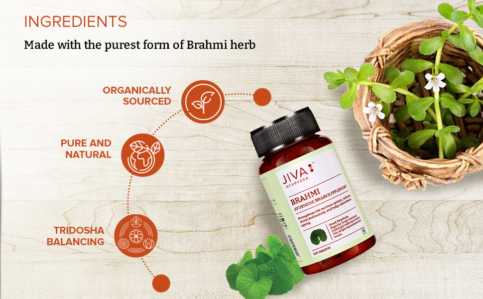Jiva Brahmi Tablets 500mg | Ayurvedic Formulation Rejuvenates Nervous System, Reduces Stress, Anxiety And Slows Down Aging- 120 Tablets (Pack Of 1)