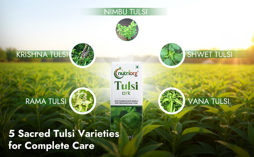 Nutriorg Tulsi Ark || Natural Immunity Boosting - 30 ml