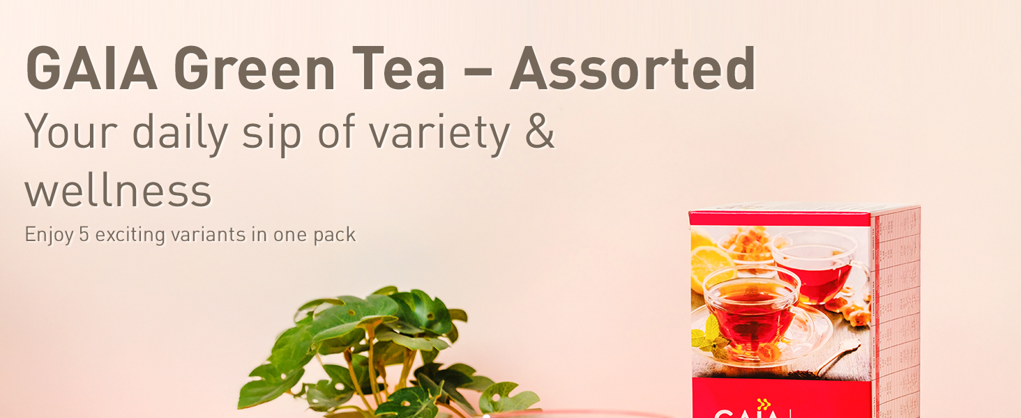 GAIA Assorted Green Tea - 25 Tea Bags (Pack Of 2)| Discover The Variety Of Refreshing Flavors Of Green Tea With Assorted Collection Of Five Flavors!, 210 Gram